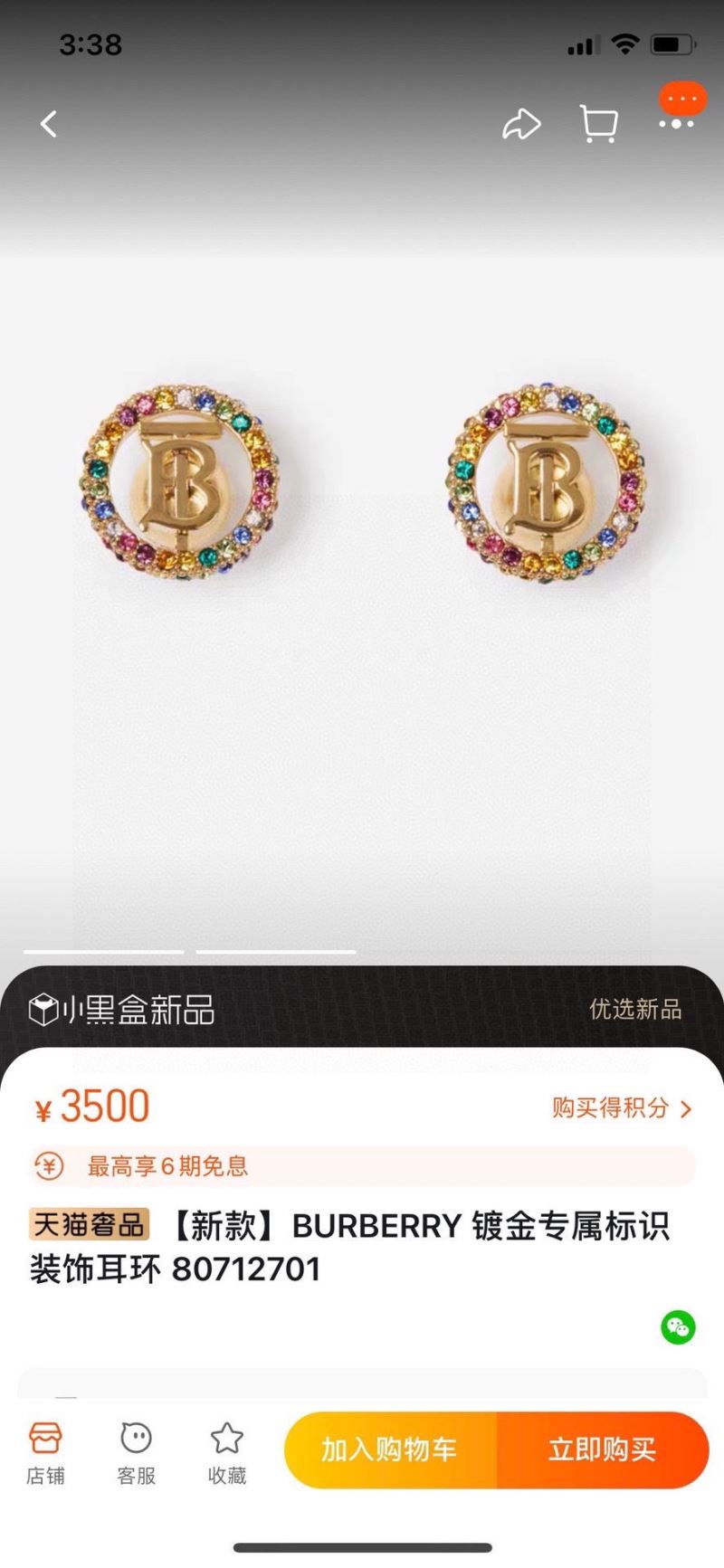 Burberry Earrings